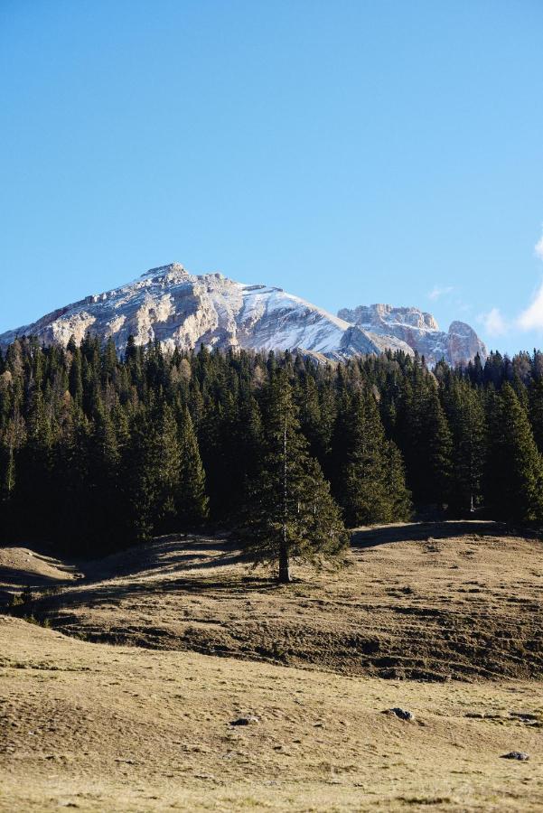 Willa Rifugio Malga Ra Stua Cortina dʼAmpezzo Zewnętrze zdjęcie